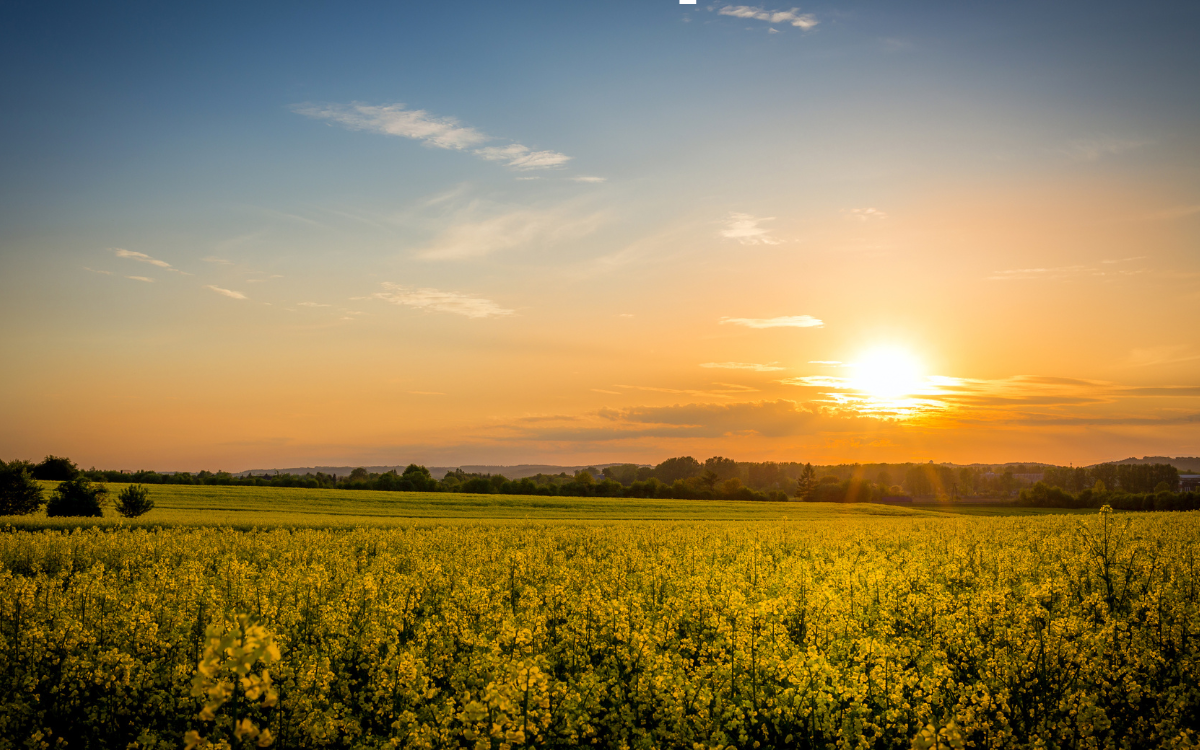 What Drives Property Values in Small Rural Communities? A Look at Boerne, Texas and the Surrounding Area